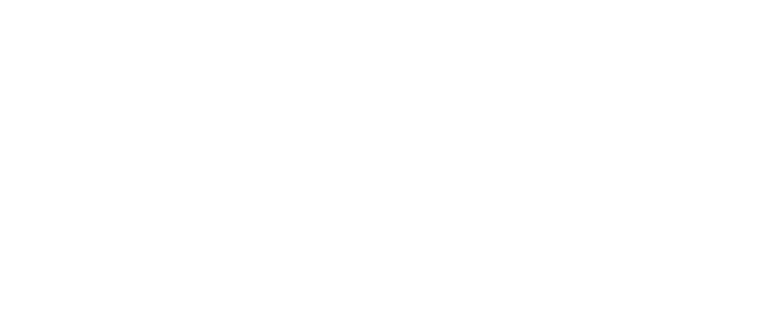 Shreeji Investments Ltd